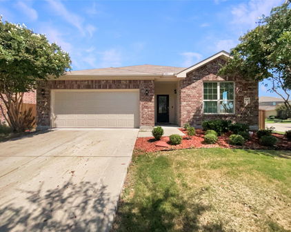 4100 Dragonfly Ct, Forney