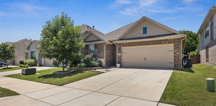 5649 Southern Fern Rd, Garland