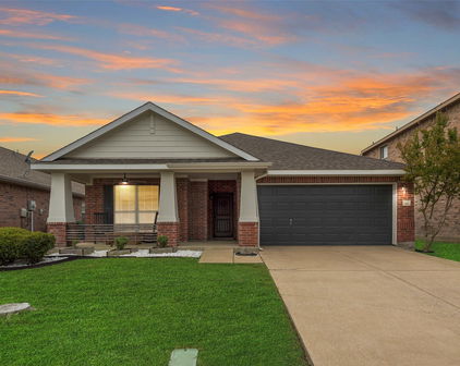 1003 Camp Verde Dr, Forney