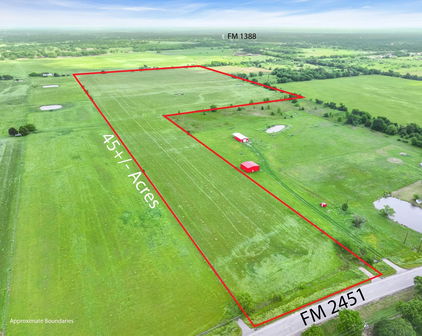 TBD Fm 2451 Road, Scurry