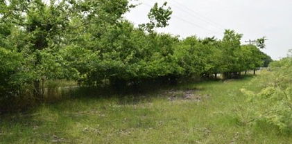 Cr-283, Terrell