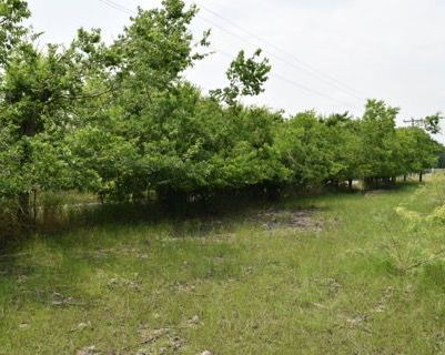 Cr-283, Terrell