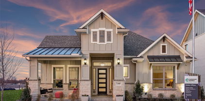9304 Persimmon, Mesquite