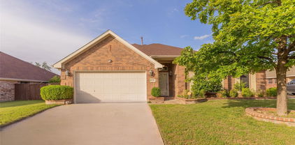 1032 Bending Oak Dr, Cedar Hill