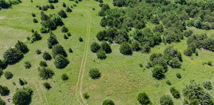 654 N Fm 36 Unit Lot 1, Greenville