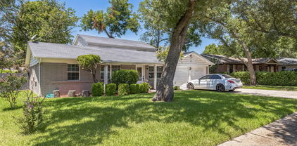 13125 Red Fern Ln, Dallas