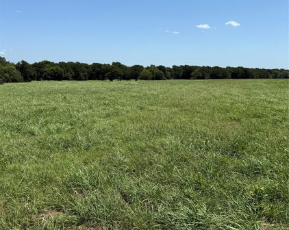 19774 Fm 47, Wills Point