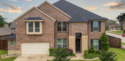 4133 Lone Elm St, Sachse