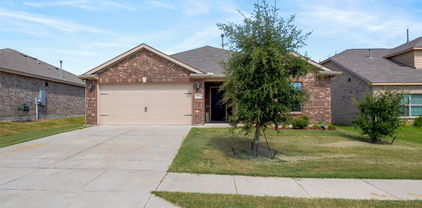 3104 Holstein Dr, Forney