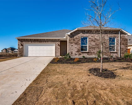 3717 Blooming Prairie Dr, Crandall