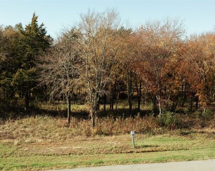 307 Cedar Creek Landing Ln, Mabank