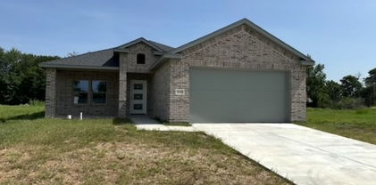 10190 Budtime Ln, Dallas