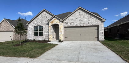 1554 Gentle Night Dr, Forney