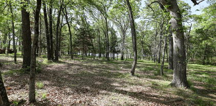 Lot 68 Anchor, Quinlan