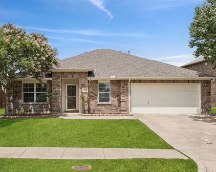 210 Freedom Trl, Forney