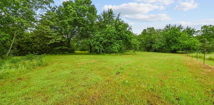 TBD County Rd, Quinlan