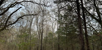 Crk 316th Rd, Terrell