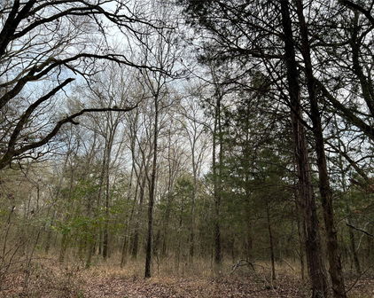 Crk 316th Rd, Terrell