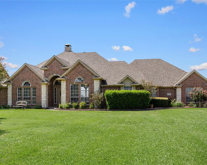 9530 Blarney Stone Way, Forney