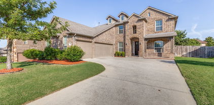 2001 Maggis Meadow Ln, Rowlett