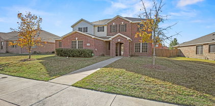 728 Jewelflower Dr, Desoto