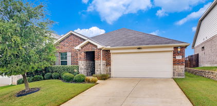 2120 Silver Charm Ln, Forney