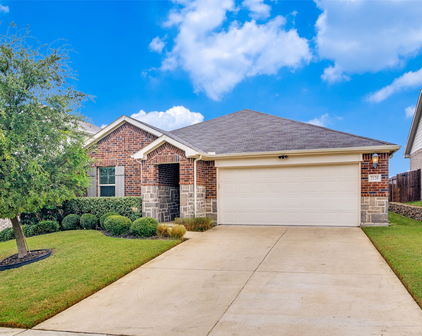 2120 Silver Charm Ln, Forney
