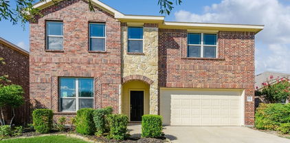 4116 Dragonfly Ct, Forney