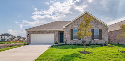 4105 Buffalo Grass Trl, Crandall