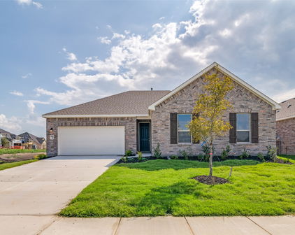 4105 Buffalo Grass Trl, Crandall