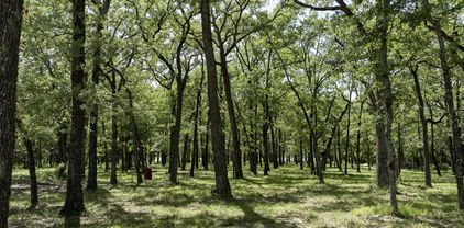 Lot 71 Anchor Point, Quinlan