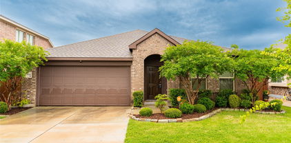 3303 Manzanilla Ln, Forney