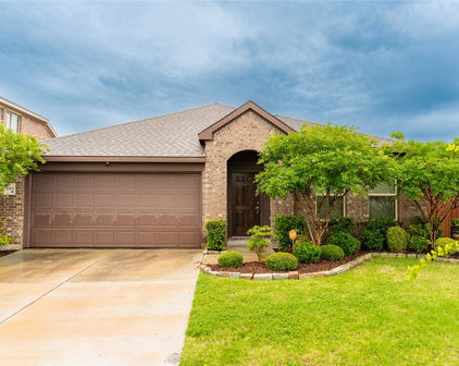 3303 Manzanilla Ln, Forney