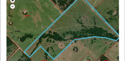 Lot 1 County Road 308, Terrell