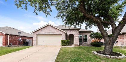 532 Chestnut Trl, Forney