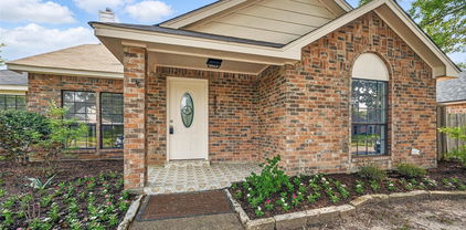 8805 Wood Glen Dr, Rowlett