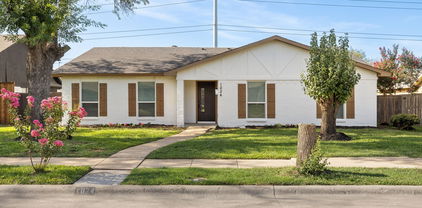 1024 Amur, Mesquite