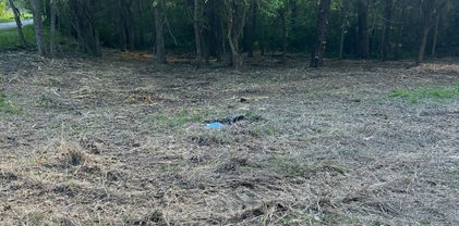 Lot 11 Cr 3732, Wills Point