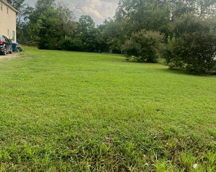 420 Campbell St, Terrell