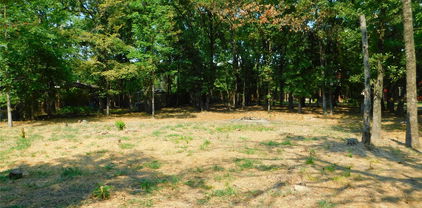 TBD Sherwood Cir, Quinlan