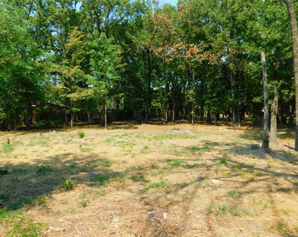 TBD Sherwood Cir, Quinlan