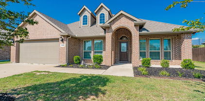 1406 San Bruno Ct, Rockwall