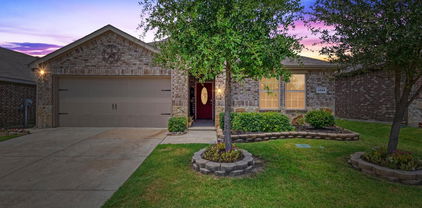 1223 Trevino Rd, Forney