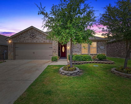 1223 Trevino Rd, Forney