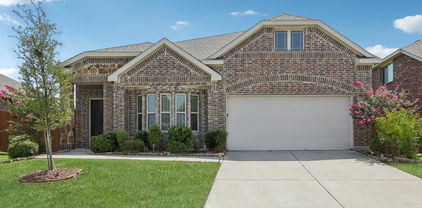 4106 Gaillardia Way, Forney