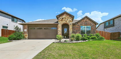 3812 Wheatland Trl, Forney