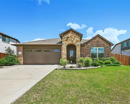 3812 Wheatland Trl, Forney