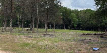10219 Pr-2333, Quinlan