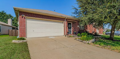5115 Willow Bend Ln, Sachse