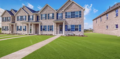 1832 Summer Aura, Mesquite